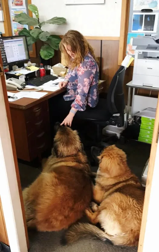Bronwyn Tubman in the Otorohanga Automotive office with the workshop dogs